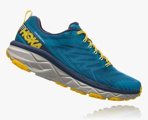 Hoka Challenger ATR 5 Wide Men's Trail Running Shoes Blue | SEVQ-78023