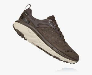 Hoka Challenger Low GORE-TEX Men's Trail Running Shoes Brown | TKCV-32745