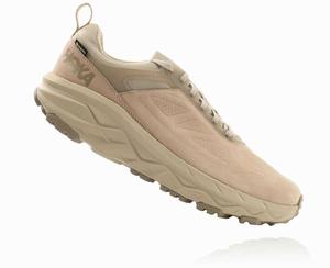 Hoka Challenger Low GORE-TEX Wide Men's Trail Running Shoes Beige | IUEW-47023